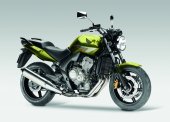 2010 Honda CBF600N photo